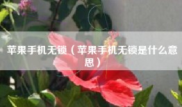 苹果手机无锁（苹果手机无锁是什么意思）