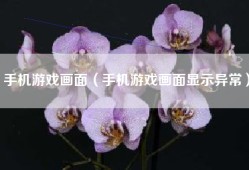 手机游戏画面（手机游戏画面显示异常）