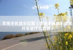 苹果手机显示位置（苹果手机显示位置共享是什么意思）