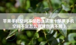 苹果手机空间不足怎么清理（苹果手机空间不足怎么清理也清不掉）