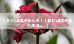 手机自动清理怎么关（手机自动清理怎么关闭oppo）