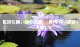 世道轮回，静心遵道。3月3早评+思路+消息：