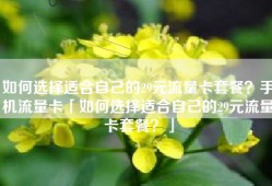 如何选择适合自己的29元流量卡套餐？手机流量卡「如何选择适合自己的29元流量卡套餐？」