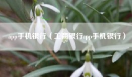 app手机银行（工商银行app手机银行）