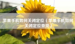 苹果手机如何关闭定位（苹果手机如何关闭定位查找）