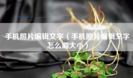 手机照片编辑文字（手机照片编辑文字怎么调大小）