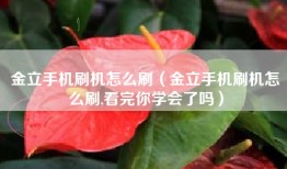 金立手机刷机怎么刷（金立手机刷机怎么刷,看完你学会了吗）