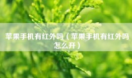 苹果手机有红外吗（苹果手机有红外吗怎么开）