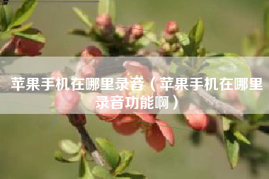 苹果手机在哪里录音（苹果手机在哪里录音功能啊）