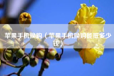 苹果手机换购（苹果手机换购能抵多少钱）