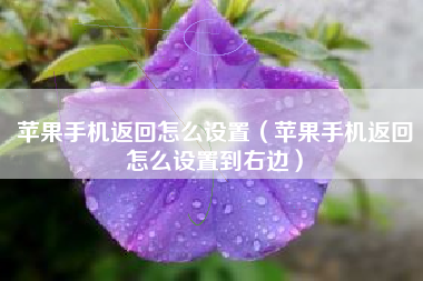 苹果手机返回怎么设置（苹果手机返回怎么设置到右边）