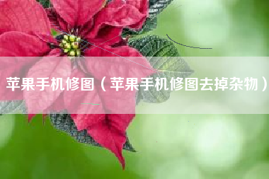 苹果手机修图（苹果手机修图去掉杂物）