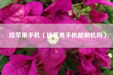 捡苹果手机（捡苹果手机能刷机吗）