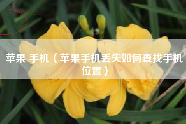 苹果 手机（苹果手机丢失如何查找手机位置）