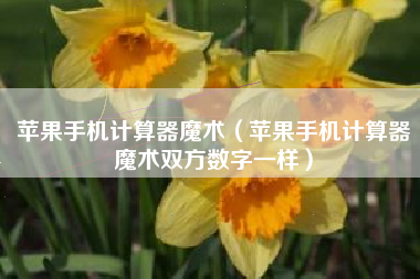 苹果手机计算器魔术（苹果手机计算器魔术双方数字一样）