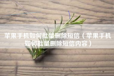 苹果手机如何批量删除短信（苹果手机如何批量删除短信内容）