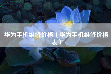 华为手机维修价格（华为手机维修价格表）