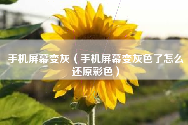 手机屏幕变灰(手机屏幕变灰色了怎么还原彩色) 手机屏幕变灰(手机屏幕变灰色了怎么还原彩色)