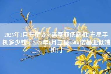 2025年1月三星a50s(诺基亚低端机)三星手机多少钱「2025年1月三星a50s(诺基亚低端机)」