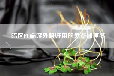 暗区PC端游外服好用的免费加速器